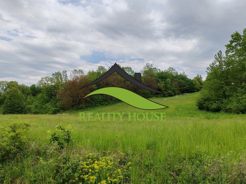 Plots - living on the main street in Tovarnianska Polianka surrounded by nature and greenery.