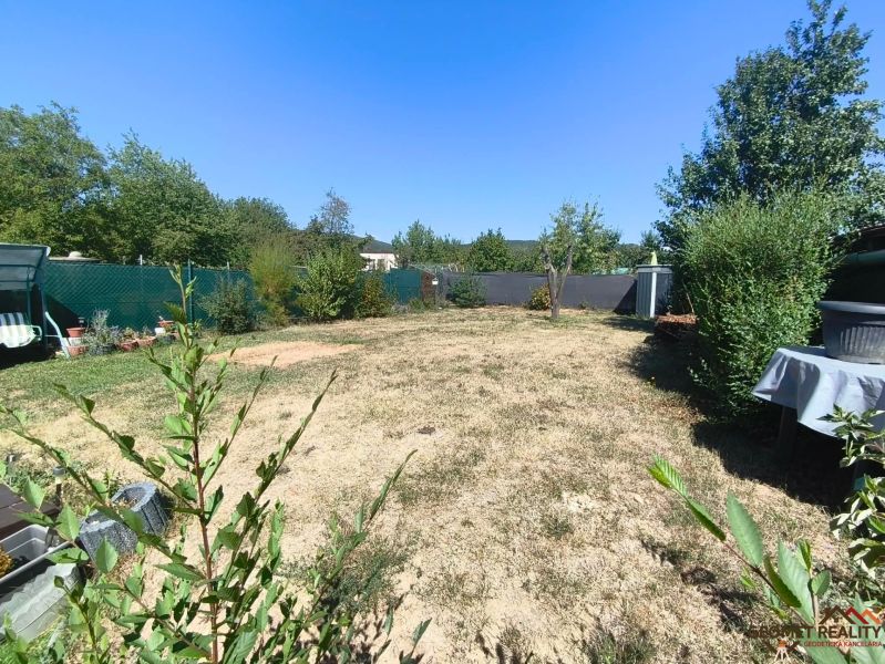A garden at a family house in Divín with a lawn and flowers, surrounded by a hedge.