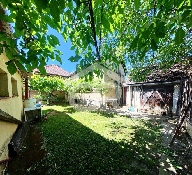 The garden of the family house at Sládkovičova 135 in Zlaté Moravce with a lawn and trees.