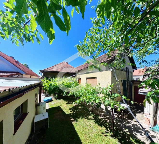 A family house on Sládkovičova 135 in Zlaté Moravce with a green yard and a vineyard.