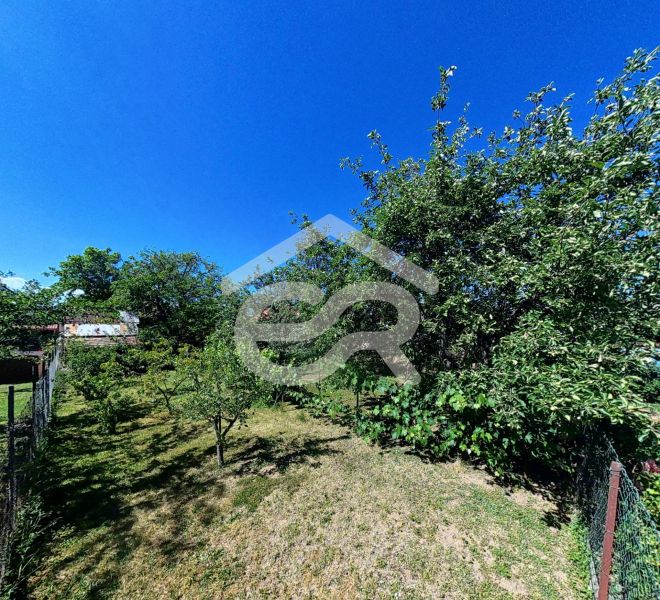 Garden at the family house on Sládkovičova Street 135, Zlaté Moravce, with fruit trees.