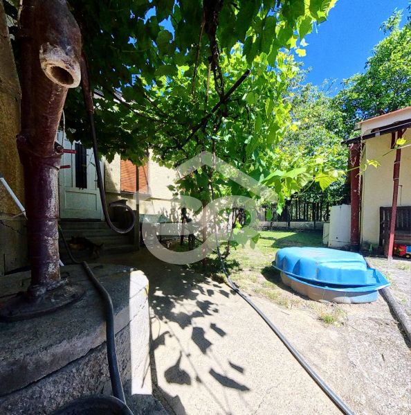 A family house on Sládkovičova 135 in Zlaté Moravce with a yard surrounded by greenery.