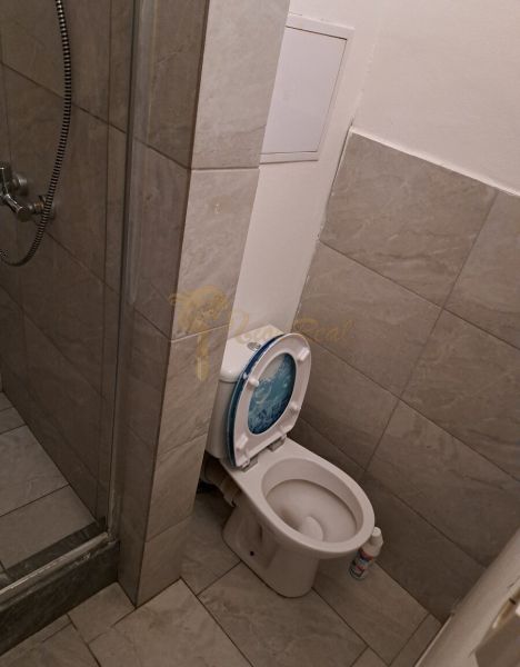 Bathroom with toilet and shower in a studio apartment.