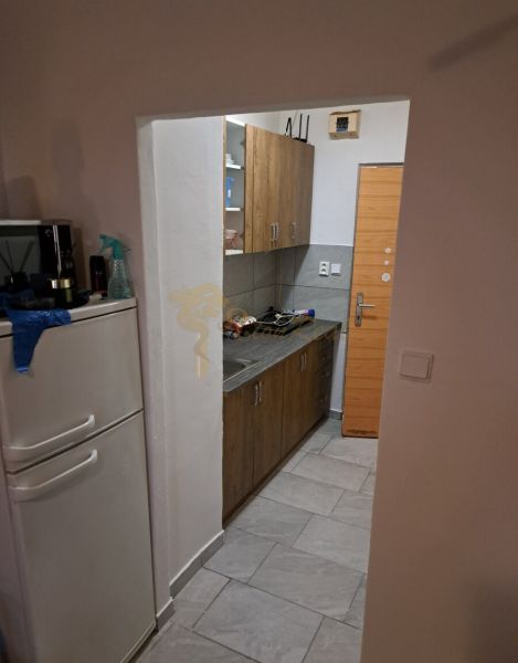 Studio apartment with a kitchenette, light flooring, and wooden cabinet decor.