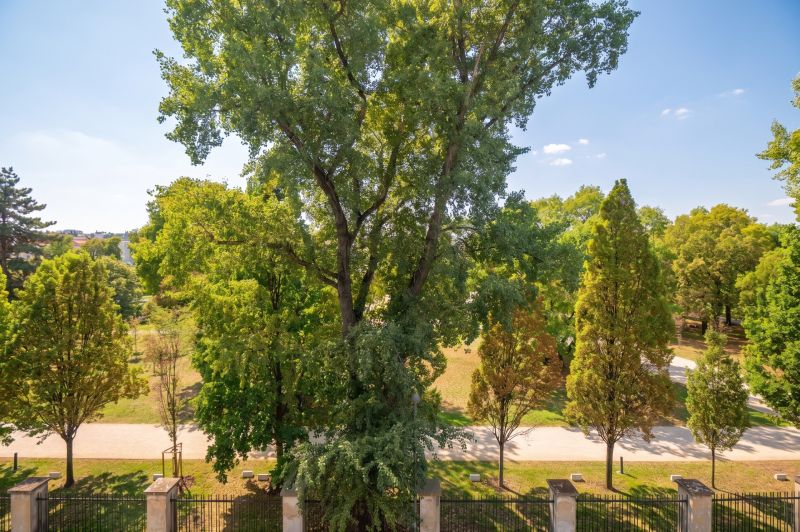 Trees and a path in the park, view from a 2-room apartment in Bratislava - Old Town on Banskobystrická.