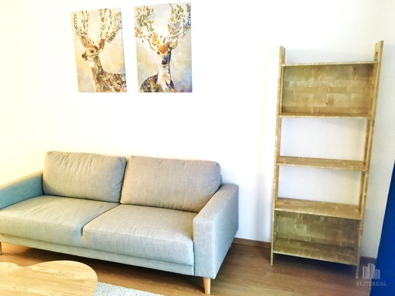 A comfortable sofa and a shelf in the living room of a 2-room apartment with paintings of deer.