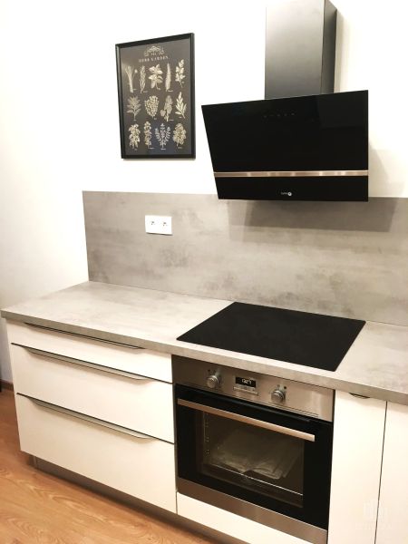A kitchen in a 2-room apartment with a cooktop, an oven, and a picture with herbs.