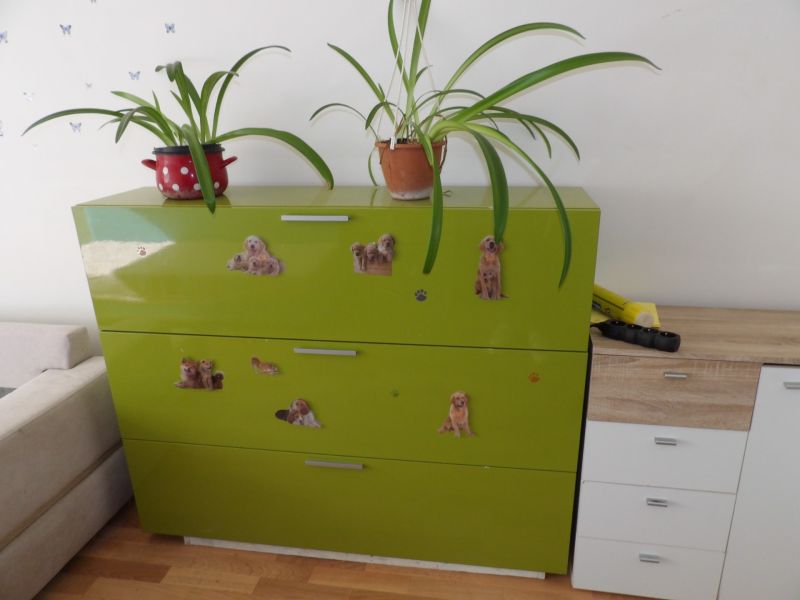 Green dresser with flowers and dog stickers, wooden decor floor, 2-room apartment.