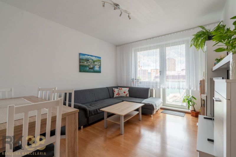 A bright living room in a three-room apartment with a wooden decor floor and a sofa.