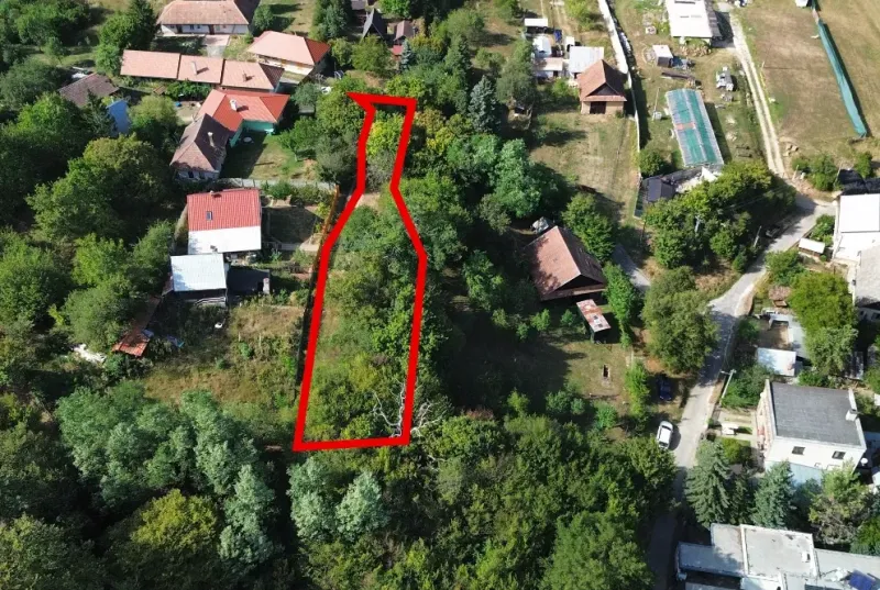 An aerial view of gardens in Kolačno surrounded by houses and greenery.