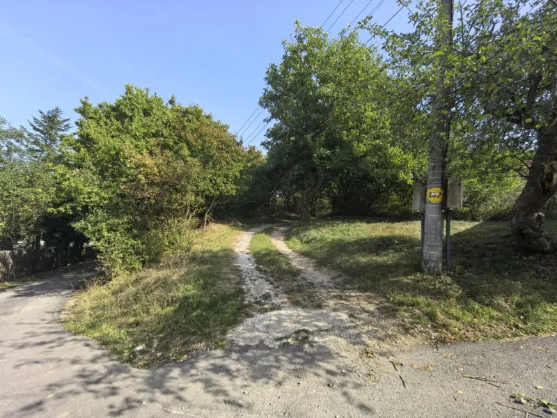 A visible branched path in the gardens of Kolačna surrounded by greenery and an electric pole.