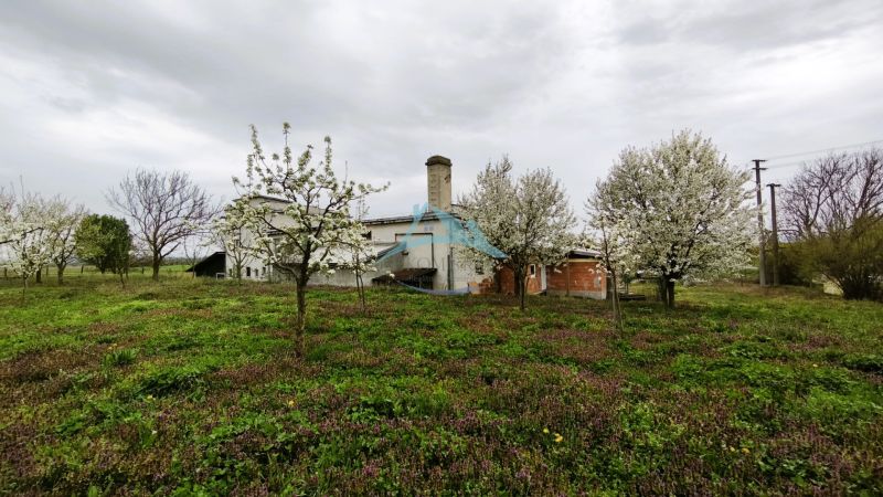 Production facilities in Lesenice surrounded by blooming trees and green grass.