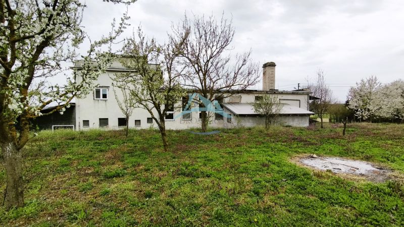 Production facilities in Lesenice surrounded by greenery and blooming trees.