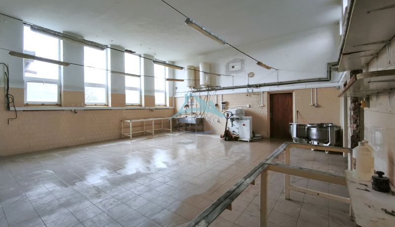 Interior of manufacturing facilities with tiling, equipment, and large windows.