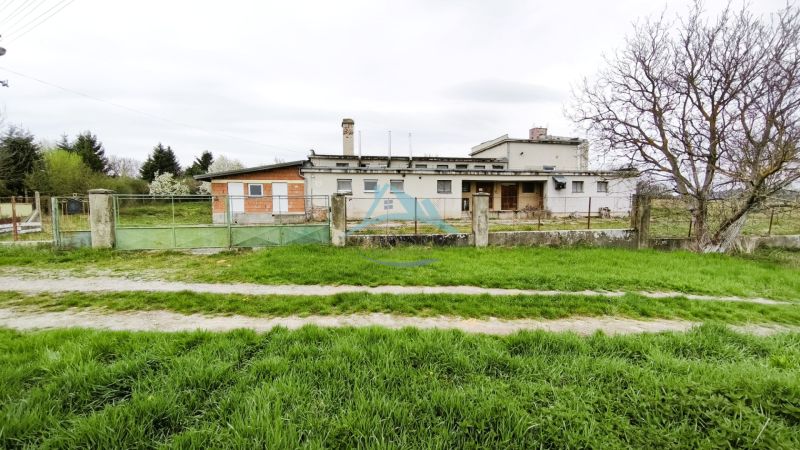 Production premises in Lesenice, fenced, with a large grassy plot and access road.