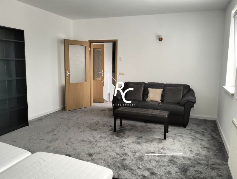 Living room in a two-room apartment with a dark carpet, sofa, and armchair.