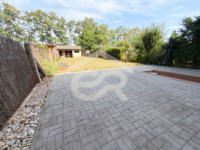 The yard of a family house on Vajka nad Žitavou street in the town of Lúčnica nad Žitavou with a lawn.