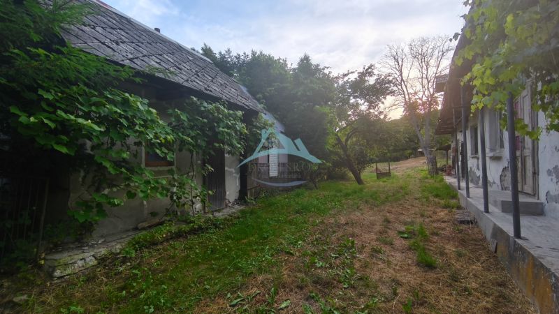 A house in Čelovce with climbing greenery and a garden.