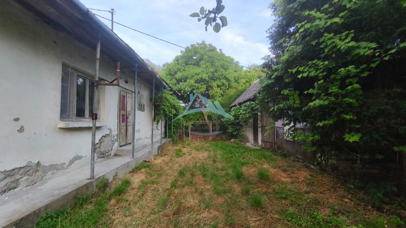 The garden at the family house in Čelovce with a country house and trees.
