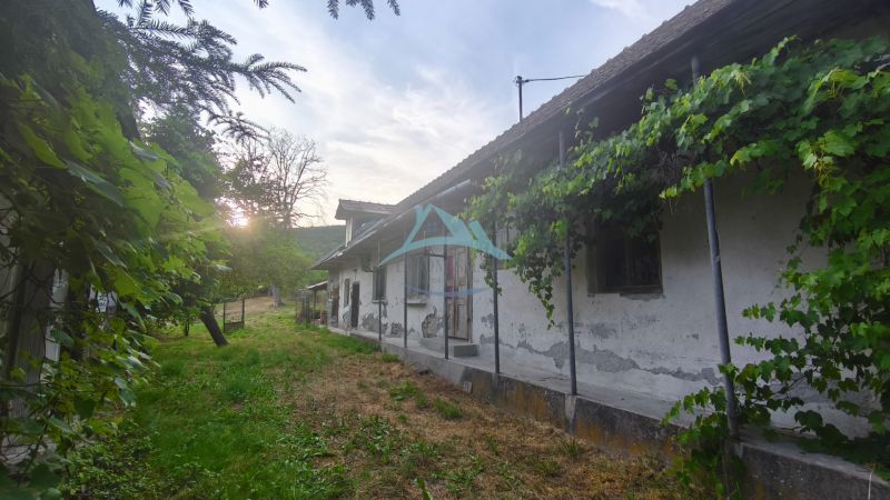 An older family house in Čelovce surrounded by greenery with a sunset in the background.