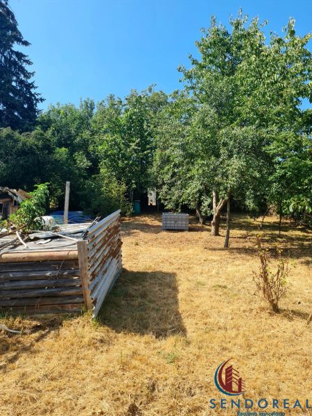 A garden at a family house in Dolné Otrokovce with dense tree growth.