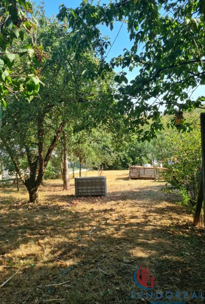 A garden in Dolné Otrokovce with fruit trees near a family house.
