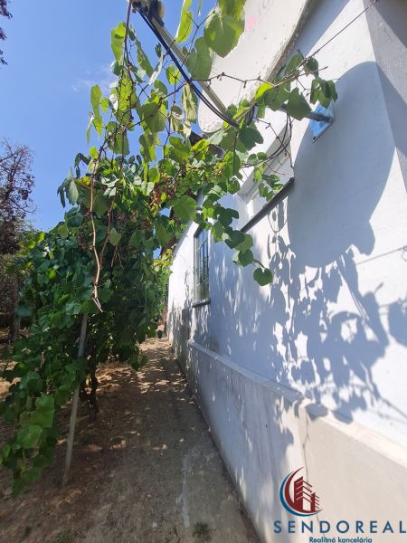 The exterior of a family house in Dolné Otrokovce with vines by the wall.