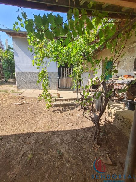 The garden of a family house in Dolné Otrokovce with a vineyard and a gate.