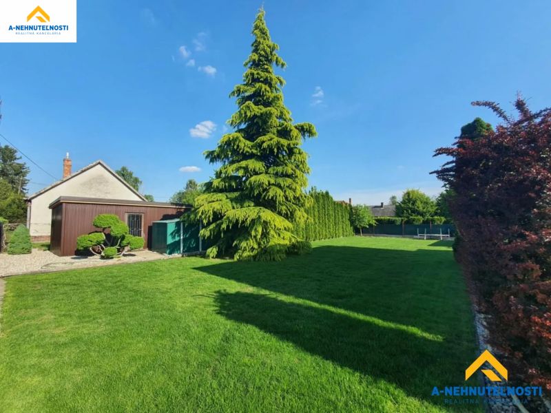 Garden with lawn and trees in Dolný Štál, a space suitable for residential plots.