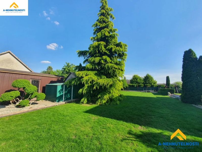 Garden with a lawn and a tree in Dolný Štál suitable for residential plots.