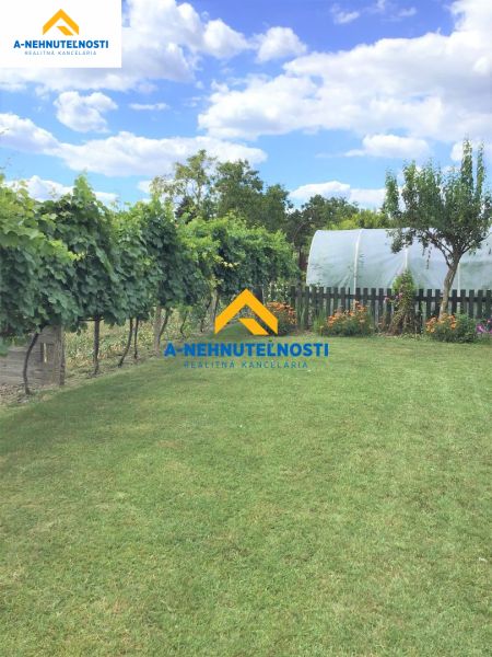 A garden at a family house in Veľký Meder with a lawn and vine.