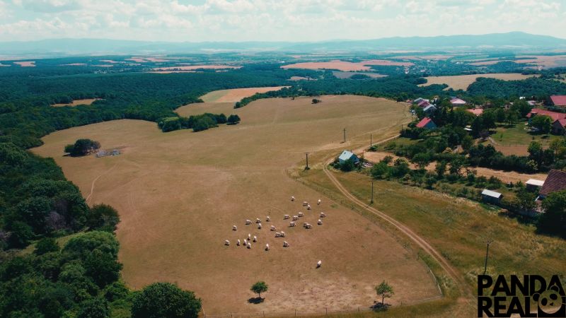 A countryside in Podhradí with pastures and sheep for sale, suitable for residential land.