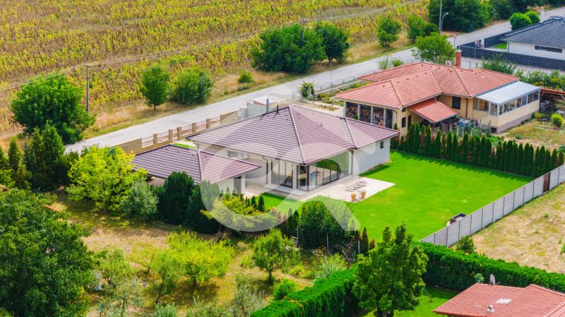 Family house on Družstevná Street in Vráble with a well-maintained garden and surroundings.