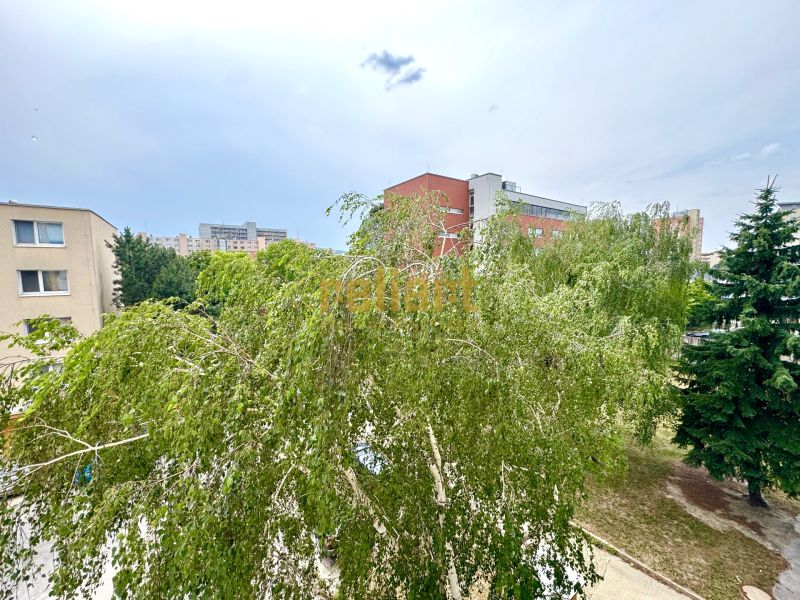 A view of green trees in Bratislava - Dúbravka, Sekurisova, surrounded by residential buildings.