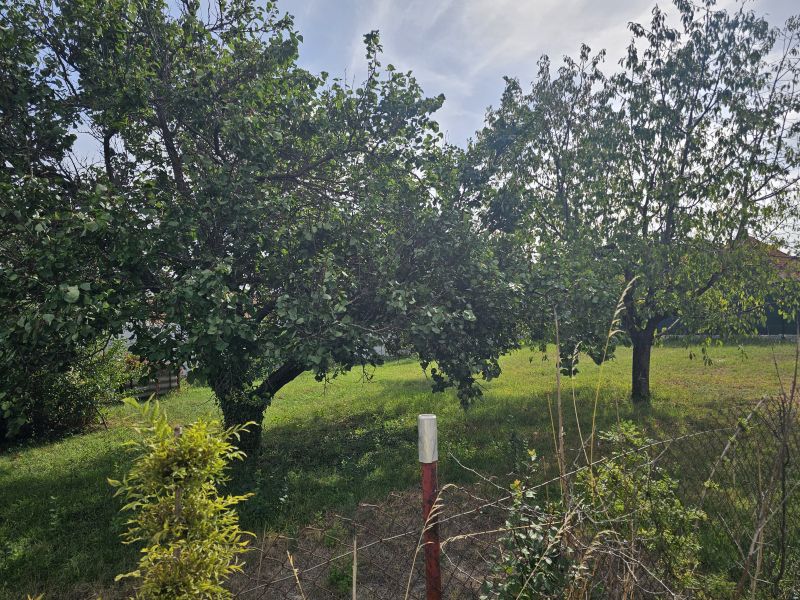 A garden with fruit trees on Dvorčanská Street in Nitra near a family house.