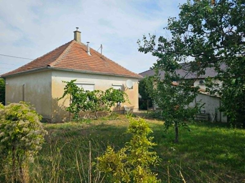 A family house on Dvorčanská Street in Dolné Krškany with a grassy garden and vineyard.