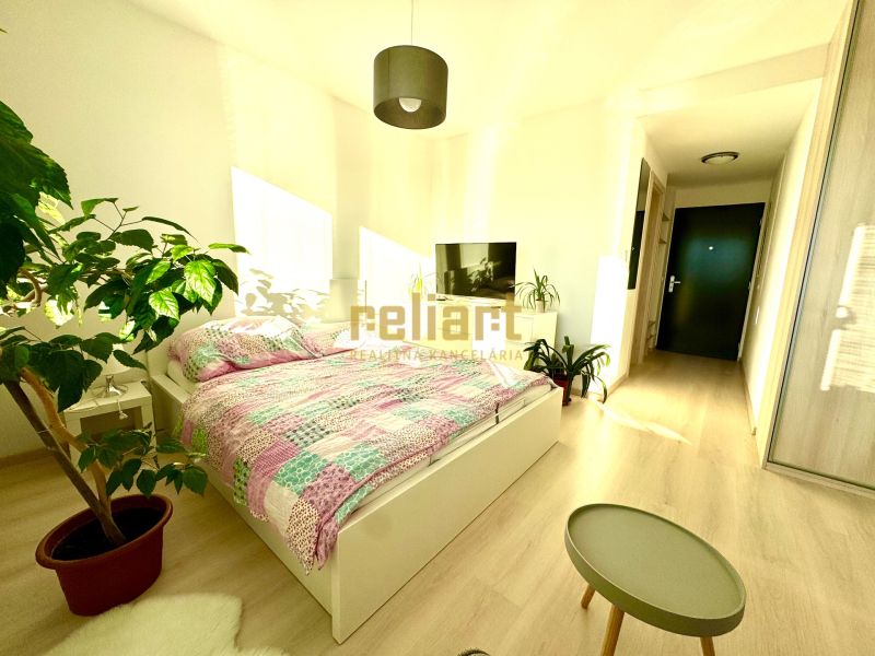 Bright bedroom in a one-room apartment with plants and wood-decor flooring.