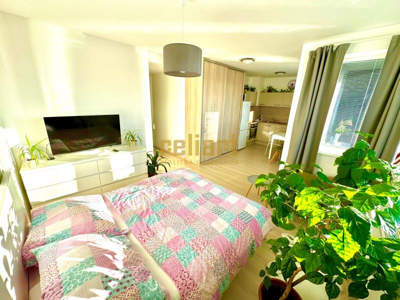 A bright space of a one-room apartment with a wooden decor floor and plants.