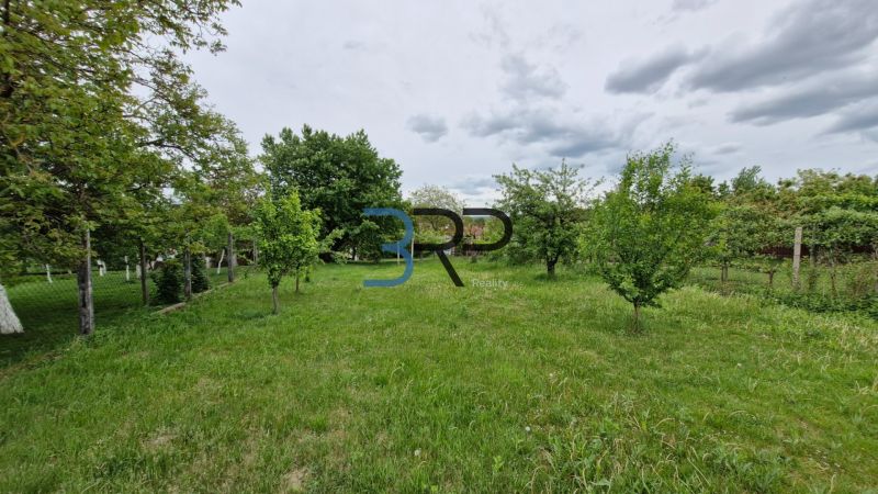 A garden with young trees at a family house in Mokry Haj, with more trees behind the fence.
