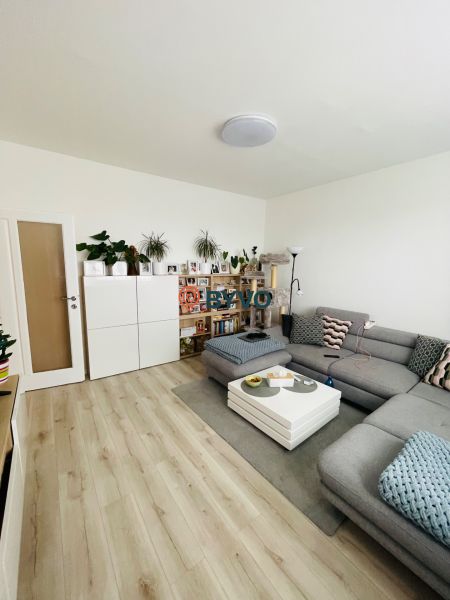 Living room of a 3-room apartment with a sofa, table, plants, and a wooden decor floor.