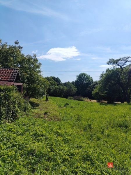 Green residential plots in Žehňa surrounded by trees and blue skies.