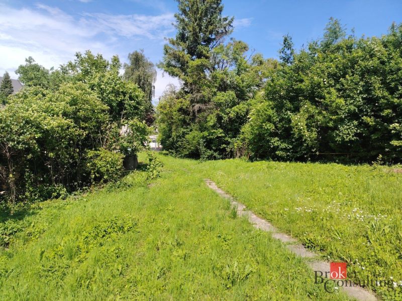 The greenery and sidewalk around Žehňa offer an opportunity for housing development.