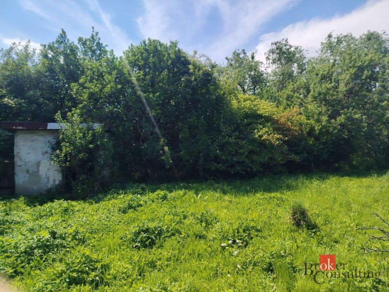 Lands - housing in Žehňa with dense greenery and an old building.
