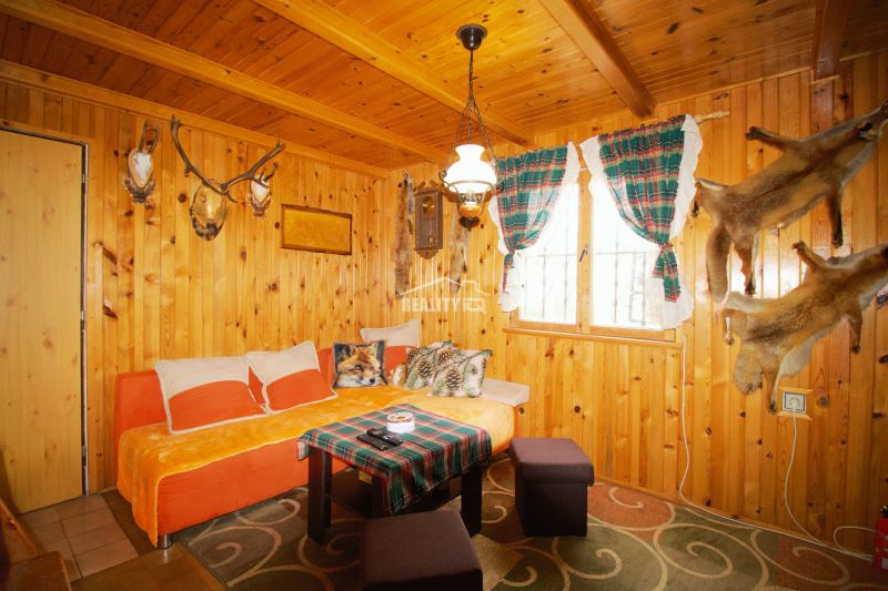A cozy cabin with wooden paneling, a sofa, and hunting trophies on the walls.
