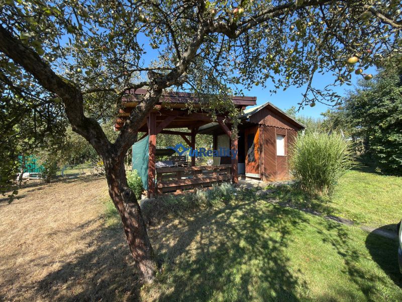 A cottage in the vineyard in Lučenec, surrounded by greenery and fruit trees.