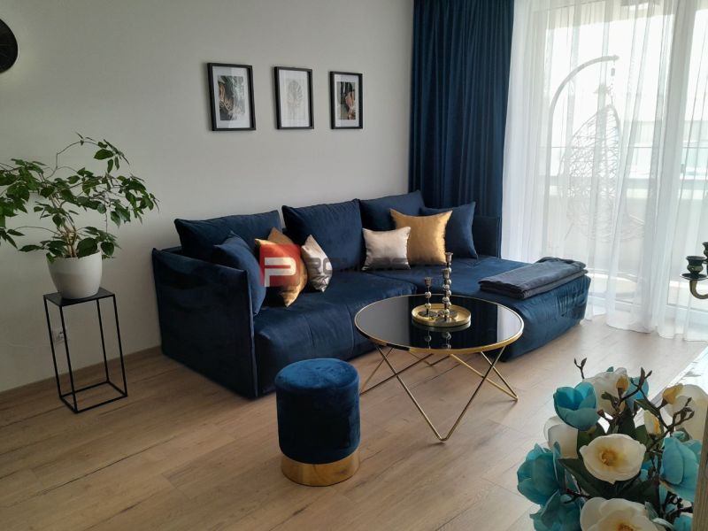 Living room in a two-room apartment with a blue sofa, wooden decor flooring, and decorations.