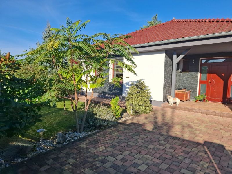 A family house in Nové Zámky with a lawn, trees, and a dog on a paved yard.