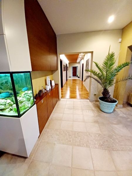 The interior of a family house with an aquarium, a plant in a blue flowerpot, and tiles.