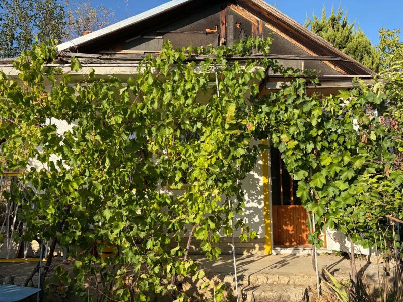 The cottage in the bank is covered with greenery and vine, the door is on a small wall.
