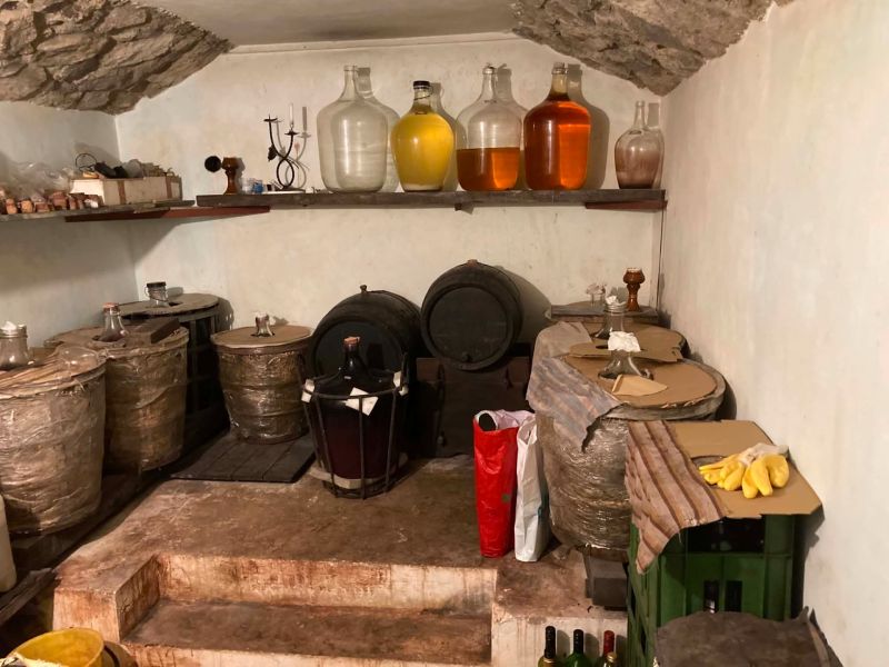 A cellar in the cottage with barrels and demijohns on the shelf.